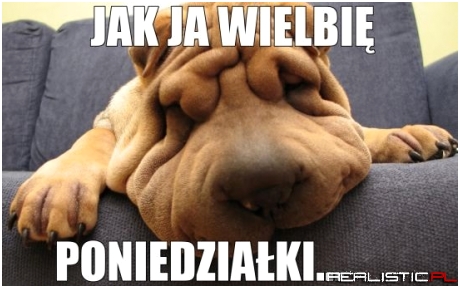 Tak właśnie...