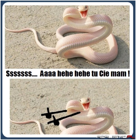 Tu Cię mam !