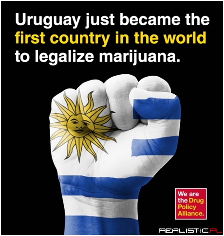 Urugwaj zalegalizował marihuanę