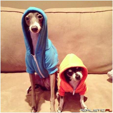 Yo bro !