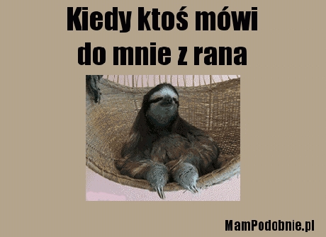Że co?