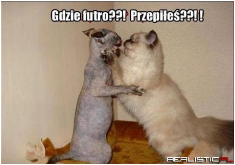 A futra nie ma ;)