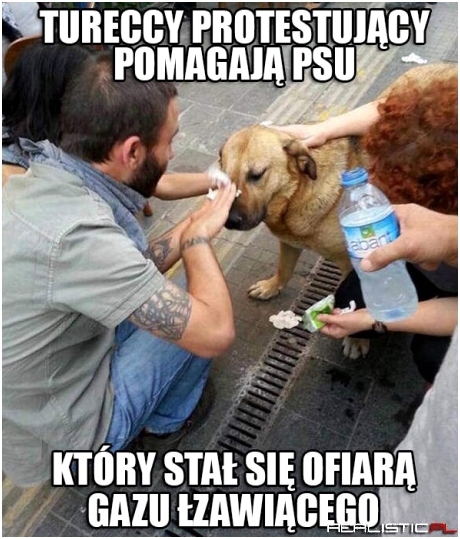 Brawo, turecka władzo