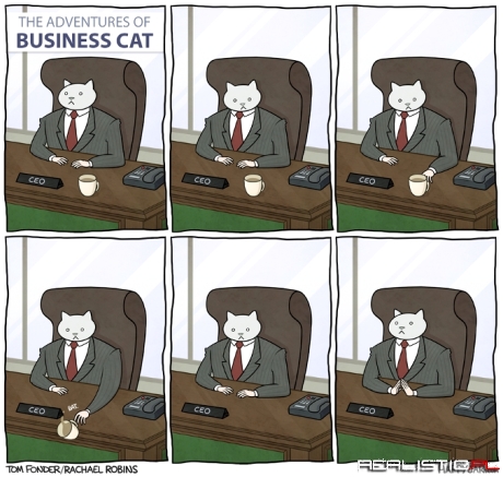 Business cat