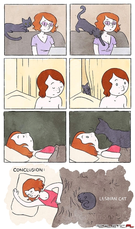 Całe życie z kotem