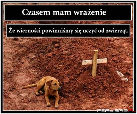 Czasem mam wrażenie