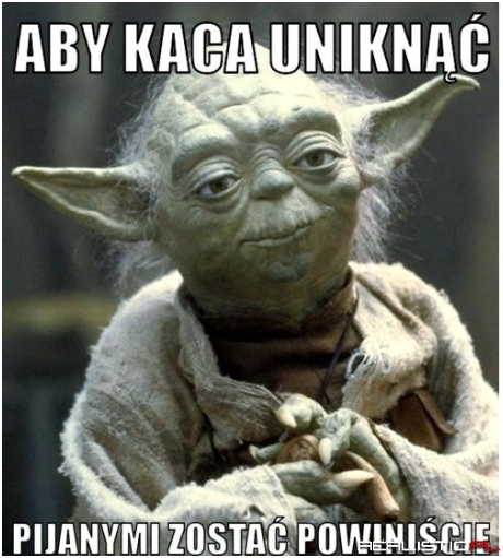 Dobra rada na kaca