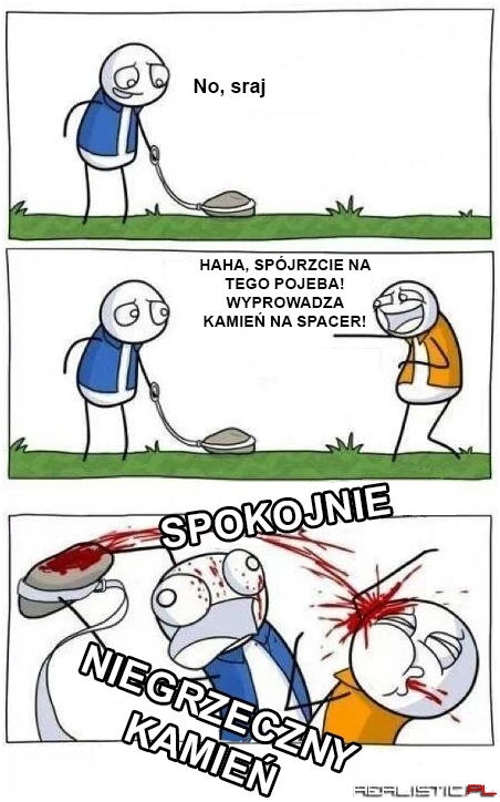 Dziki kamień