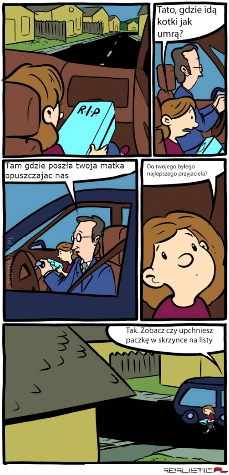 Gdzie idą kotki kiedy umrą?