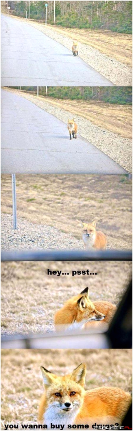 Hey psst!