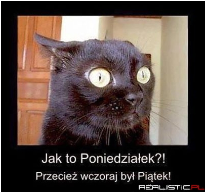 Jak to Poniedziałek ...