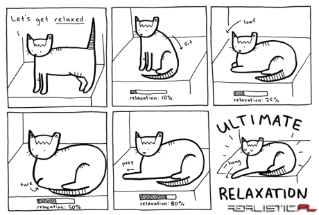 Kot i relax