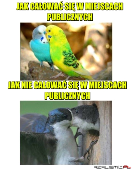 Krótki kurs całowania się w miejscach publicznych