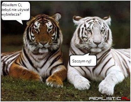 Mówiłem?