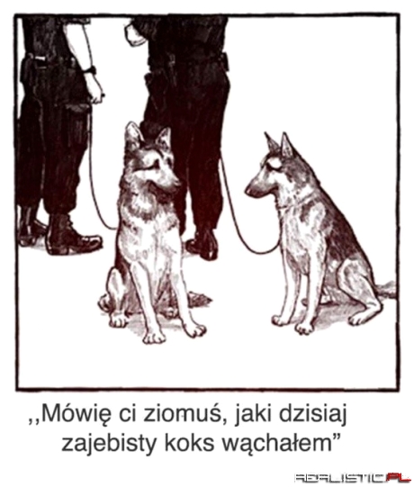 O czym rozmawiają policyjne psy?