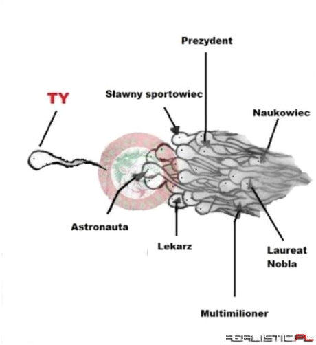 Opowieść o poczęciu