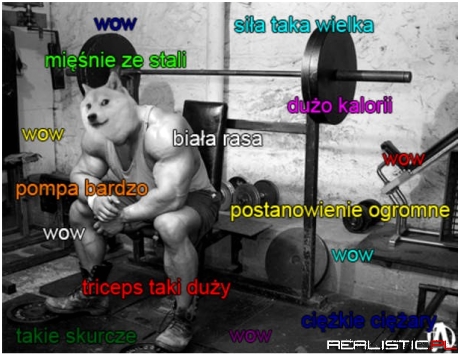 Pieseł siłownia tak bardzo