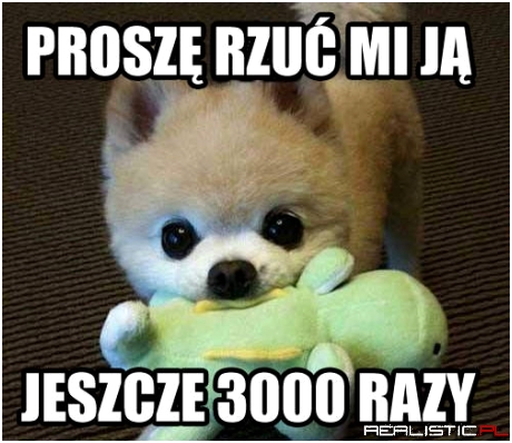 Podczas zabawy z psem