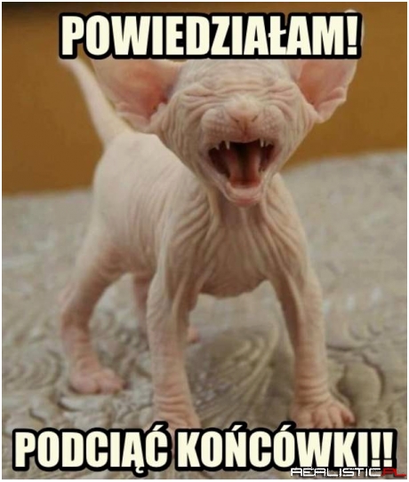 Powiedziałam!!