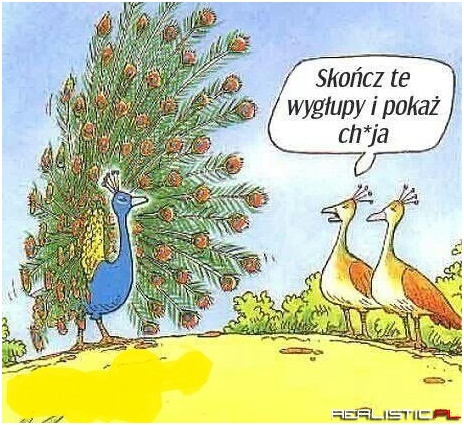 Skończ te wygłupy