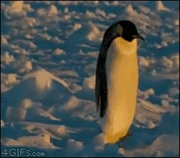 Spacerek