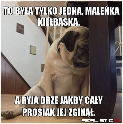To była tylko jedna...
