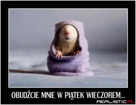 Tylko nie wcześniej :)