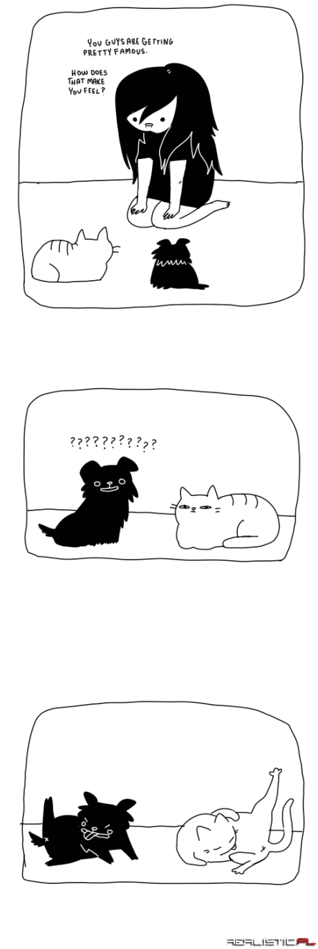 Zwierzaki - takie urocze