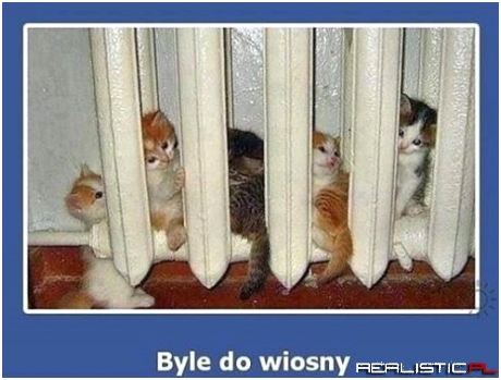 Byle do wiosny