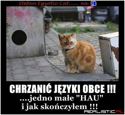 Chrzanić języki obce
