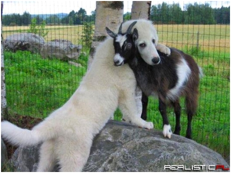 Friendship!