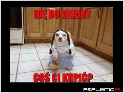 Idę do biedry