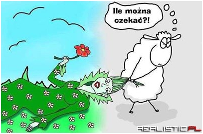 Ile można czekać