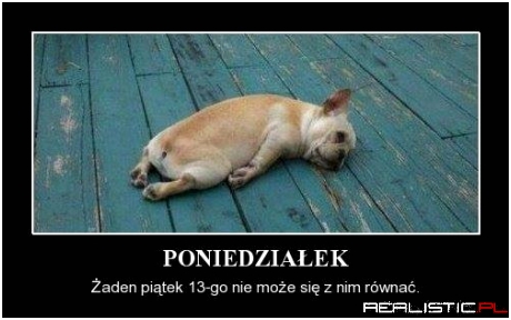 Jak my to lubimy...