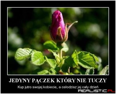 Jedyny pączek...