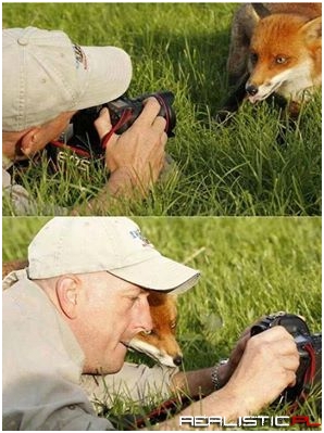 Let me see if it was good