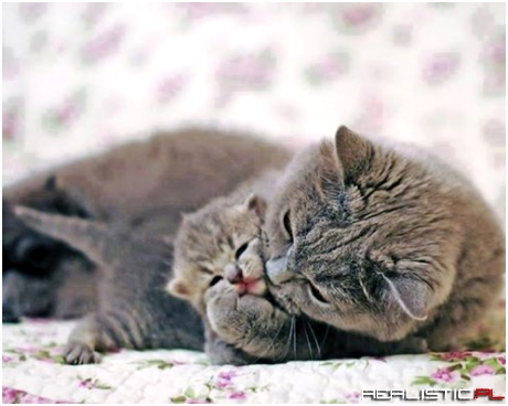 Mama Kiss