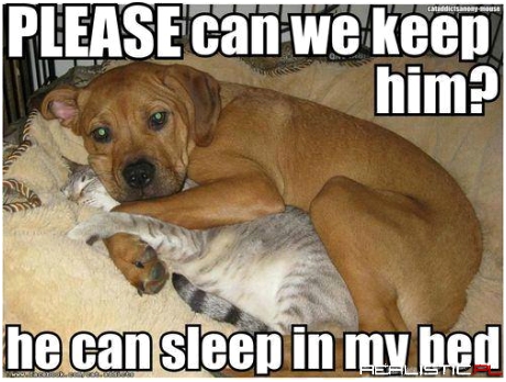 Pleaseee...