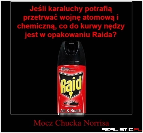Raid z dodatkiem ;)