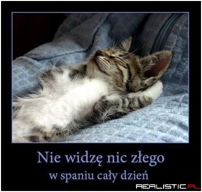 Spanie przez cały dzień