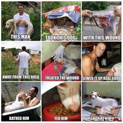 That is an amazing story!
