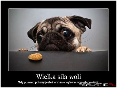 Wielka siła woli