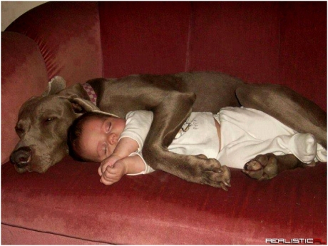 Aww.. I can't think of anything more precious than this!