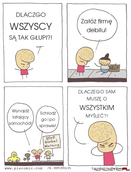 Dlaczego wszyscy są tak głupi?