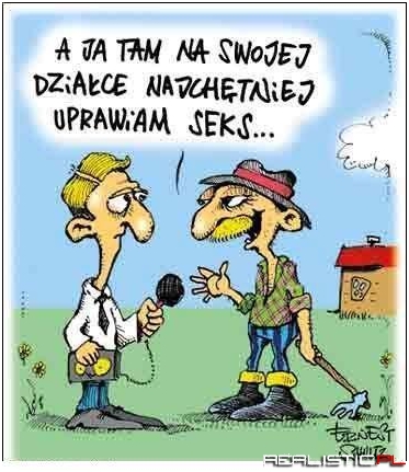 Działka