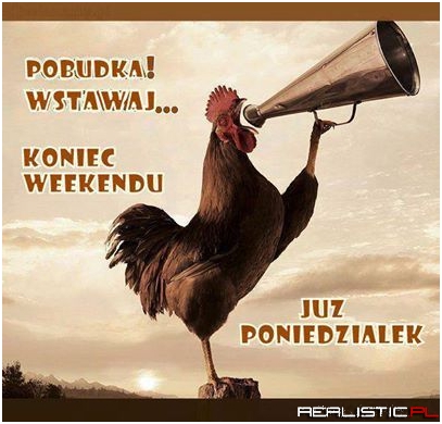 Koniec weekendu