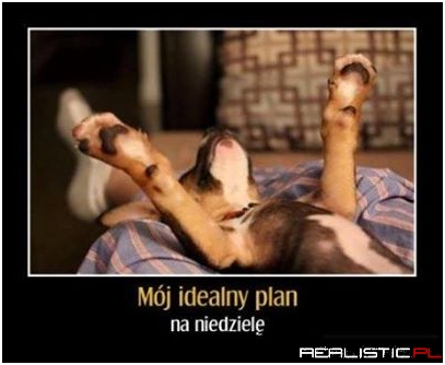 Mój idealny plan na niedzielę