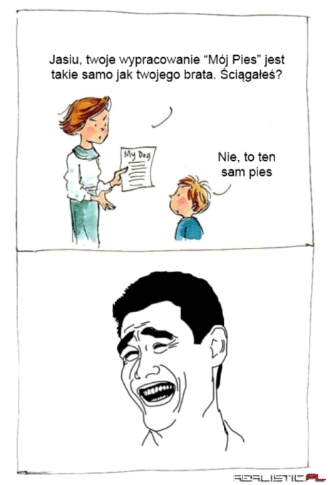Mój pies