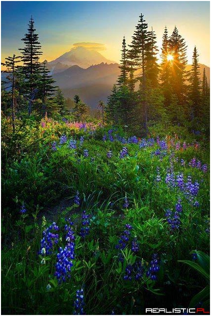 Mount Rainier, East of Seattle, Washington