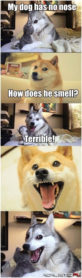 My dog